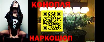 соль ск Шебекино